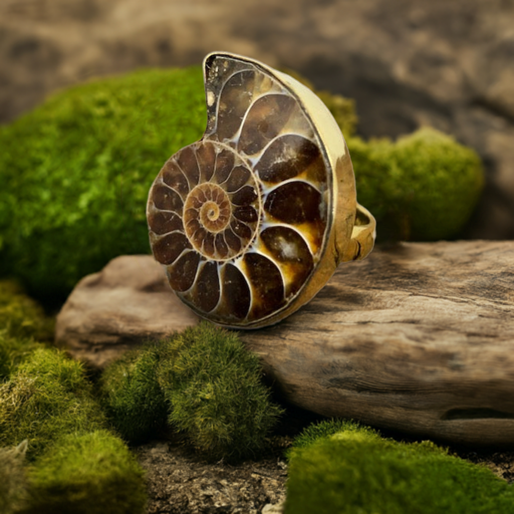 Ammonite Ring